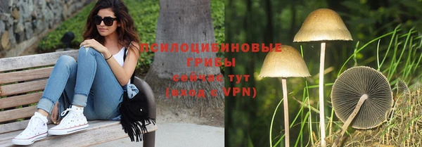 a pvp Алексин