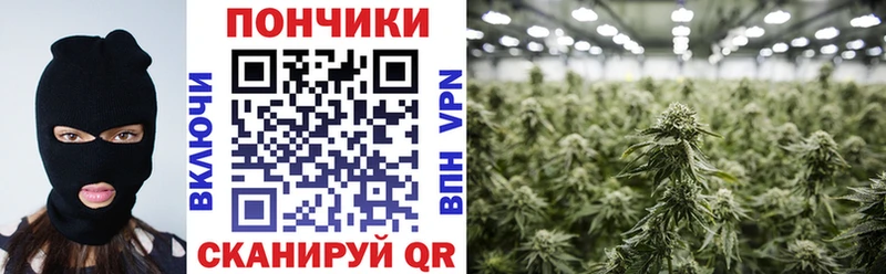 Марихуана гибрид  купить наркотик  Ишимбай 